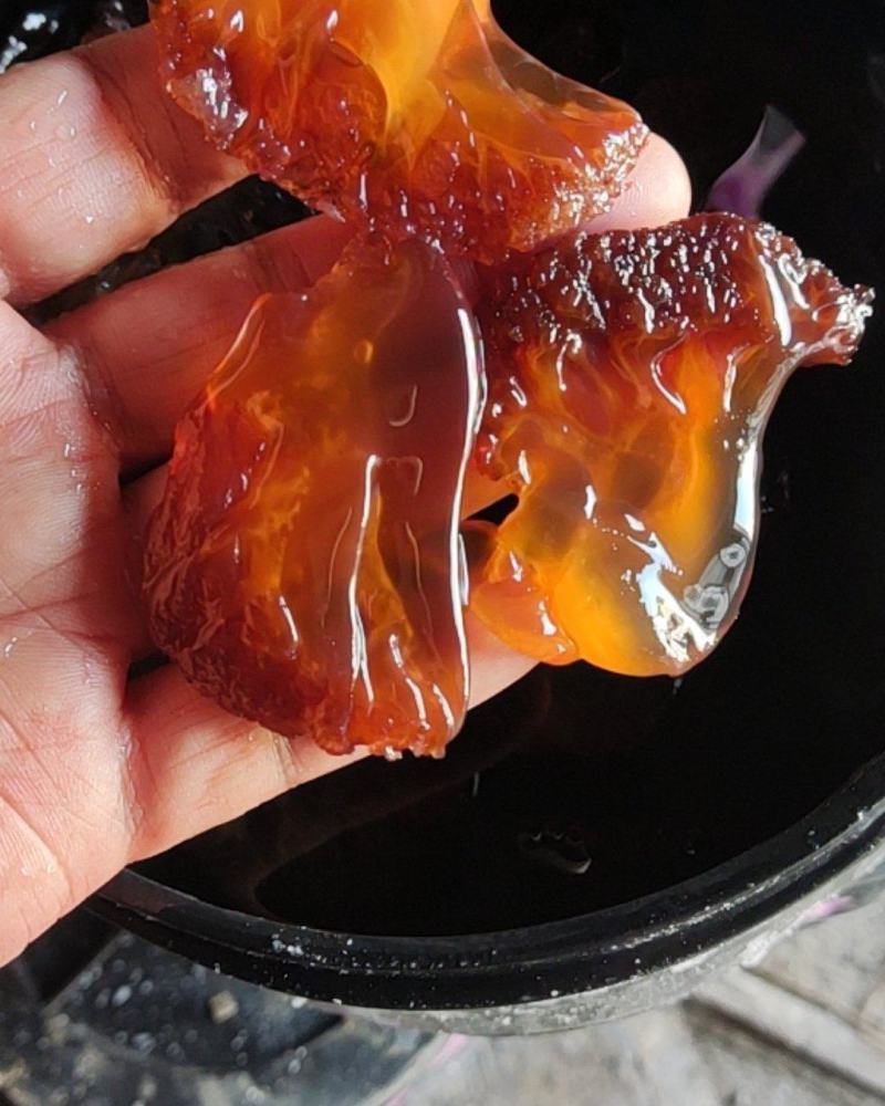 渤海野生面蜇头，中叶中角，价格美丽