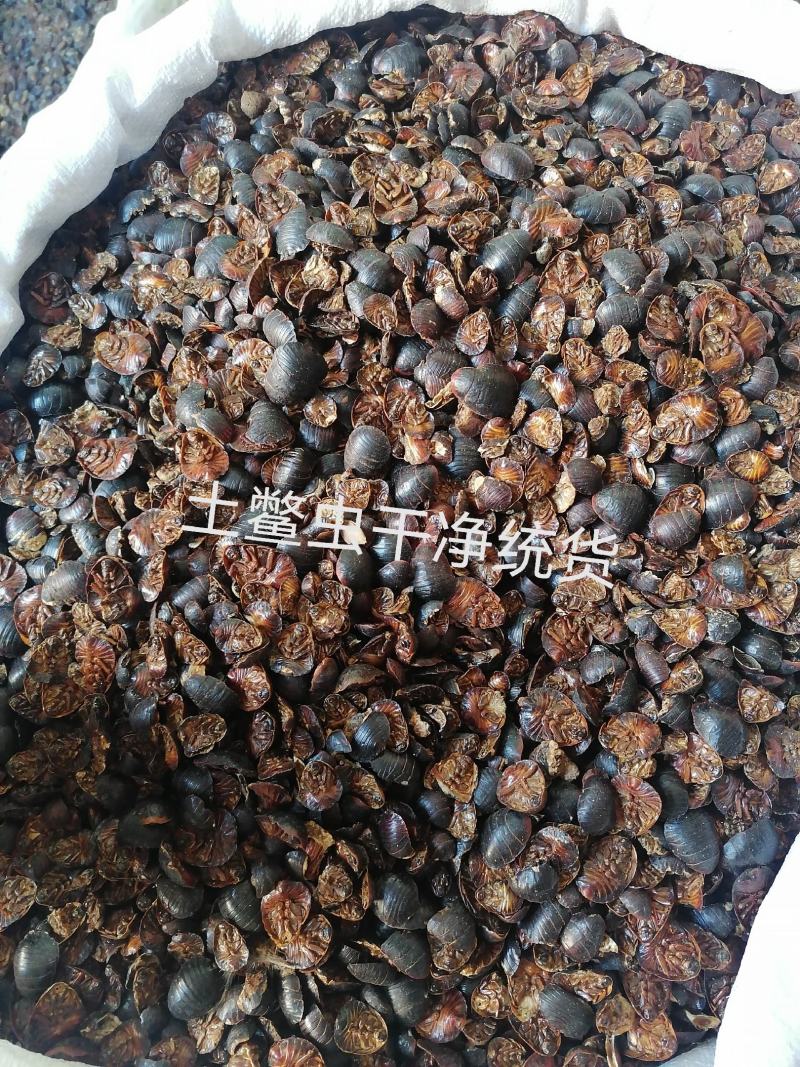 土鳖虫各种规格中药材批发零售各种规格