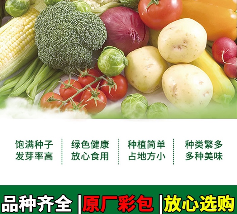 卡其美都西瓜种子改良美都耐裂8424麒麟西瓜早熟耐病