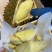 泰国金枕榴莲液氮保鲜(带壳)冰冻榴莲树熟果4-5头裸果