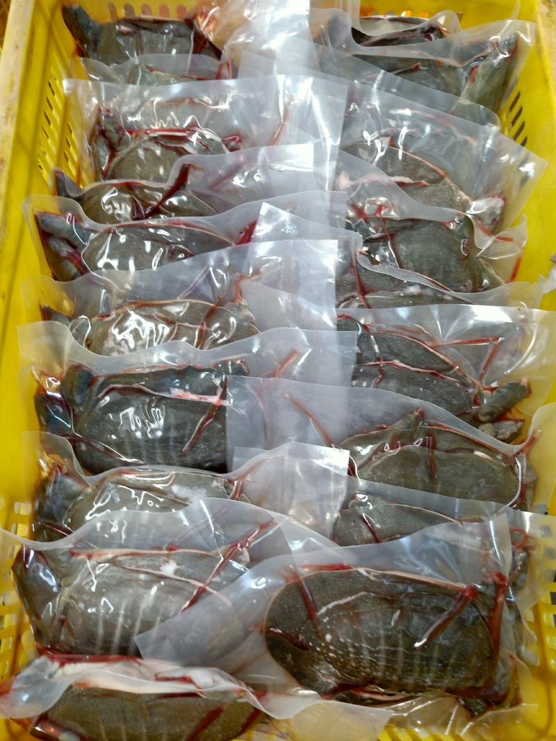 中华草龟肉，自家厂家直销，年产量300万斤，可定做规格