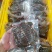 中华草龟肉，自家厂家直销，年产量300万斤，可定做规格