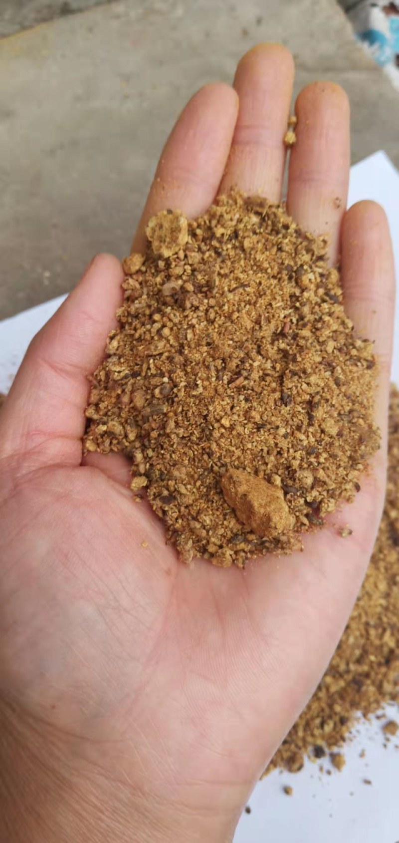 棉粕大量现货，蛋白含量46%品质有保障