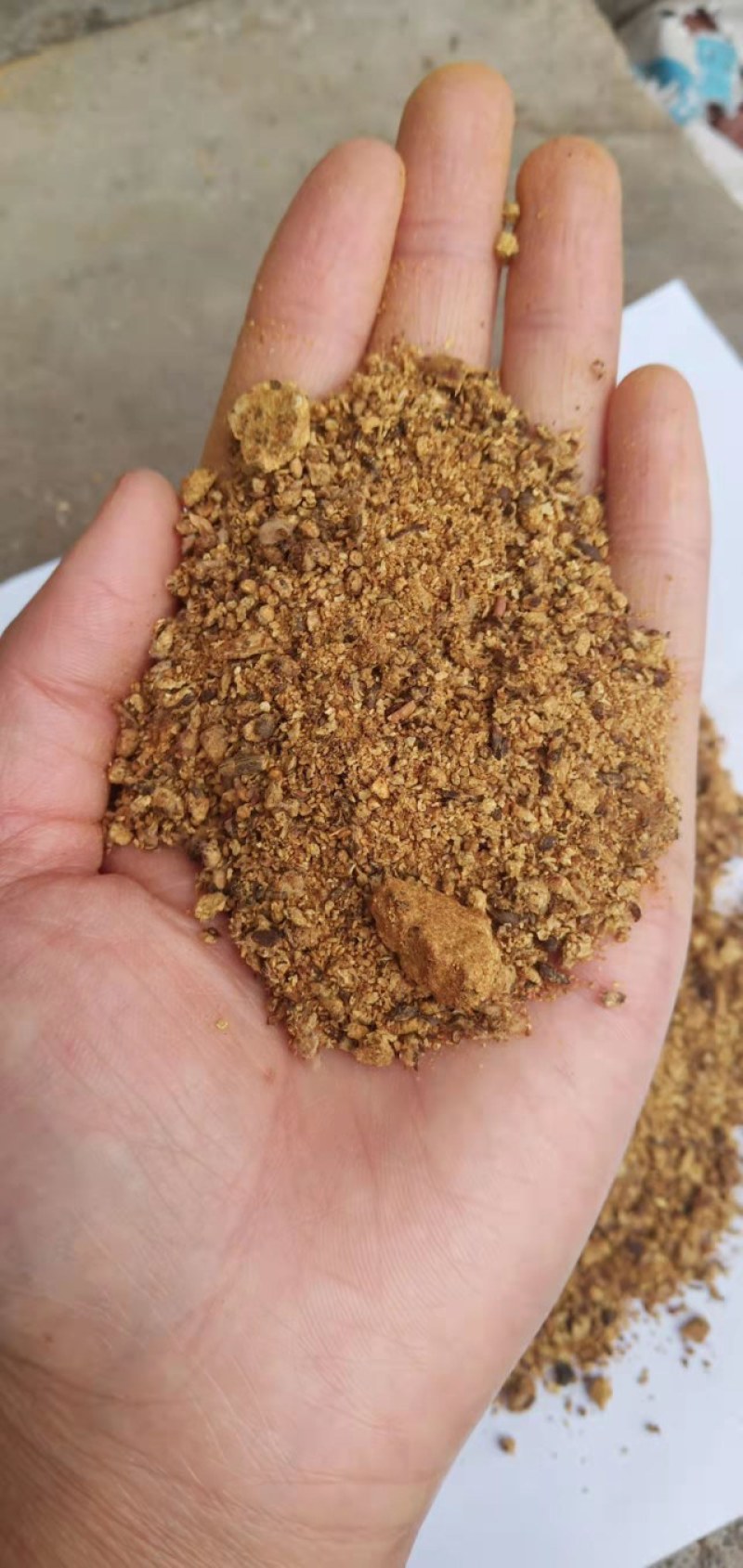 棉粕大量现货，蛋白含量46%品质有保障
