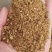 棉粕大量现货，蛋白含量46%品质有保障