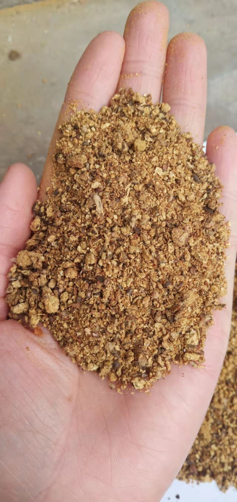 棉粕大量现货，蛋白含量46%品质有保障