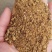 棉粕大量现货，蛋白含量46%品质有保障