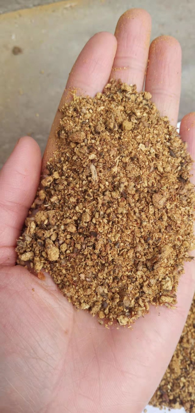 棉粕大量现货，蛋白含量46%品质有保障