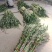 端午节新鲜艾草，日产20万可定制，产地直供，冷藏车发货！