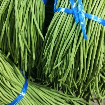 西双版纳豆角