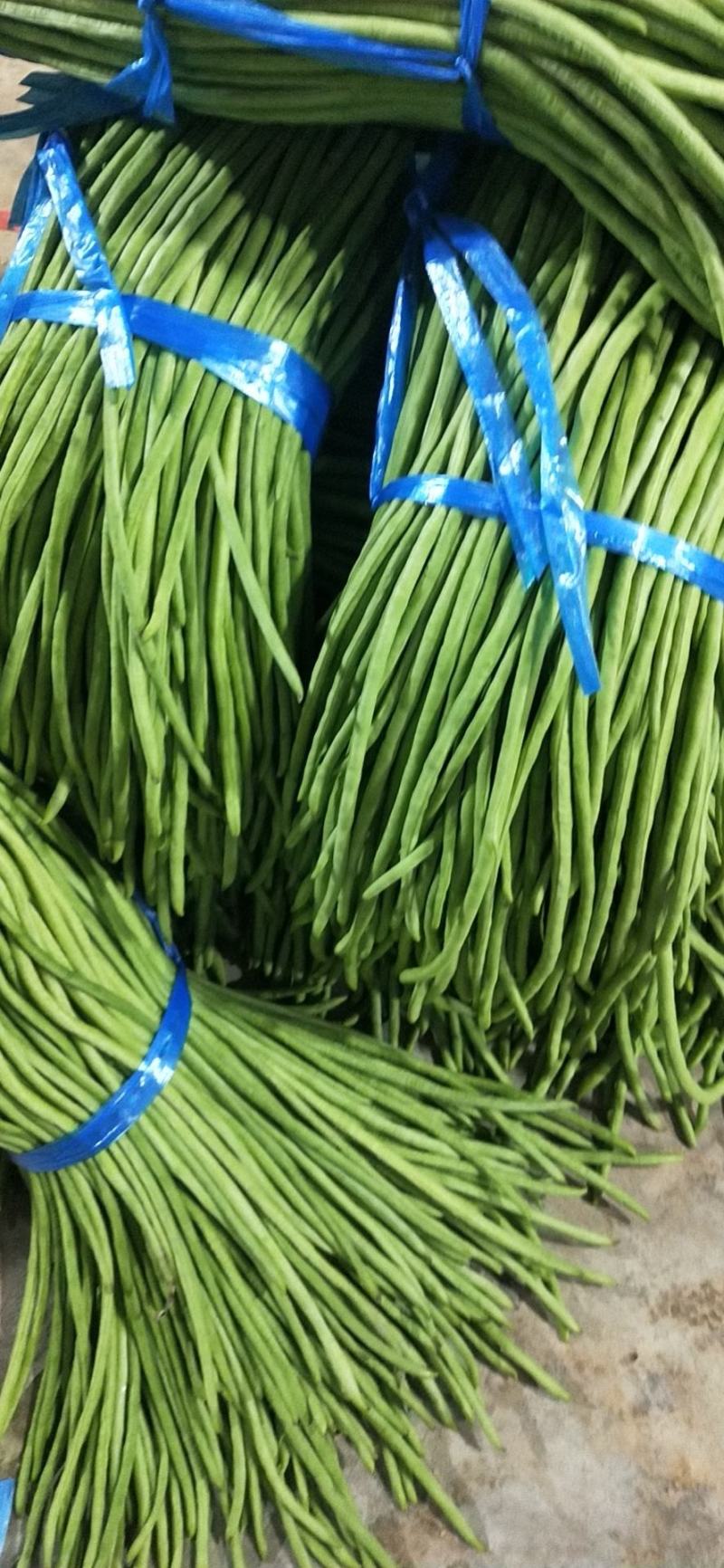 西双版纳豆角