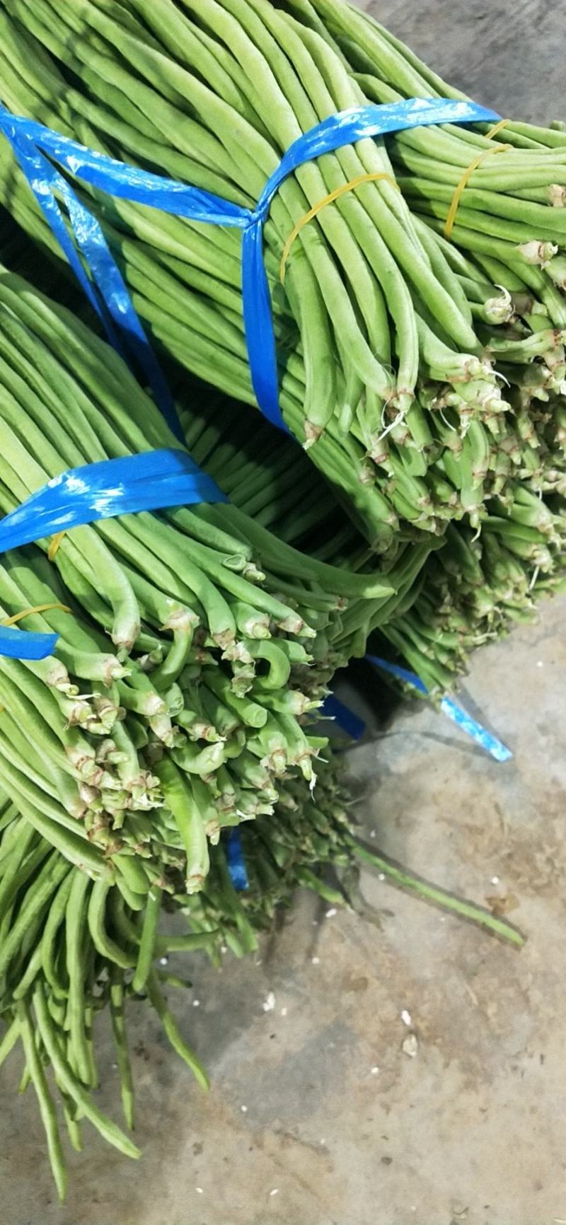西双版纳豆角