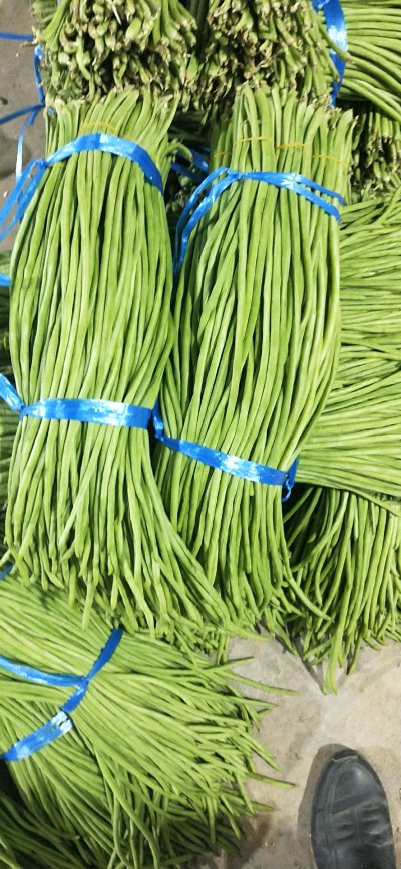 西双版纳豆角