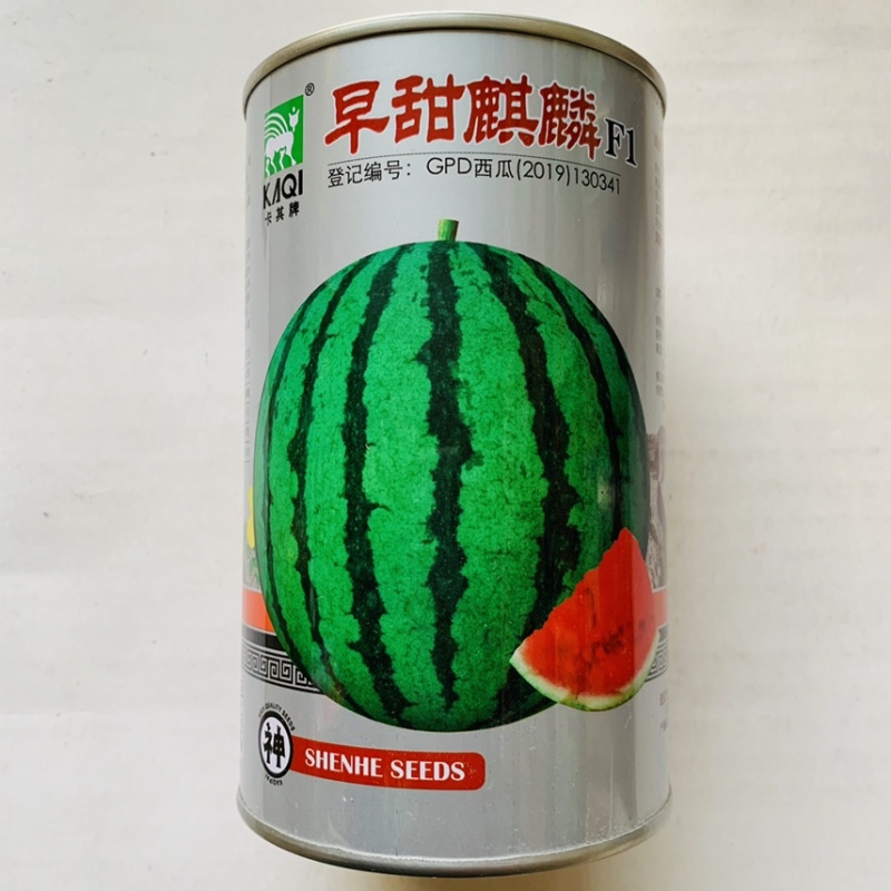 早甜麒麟F1西瓜种子高圆早熟抗病重茬西瓜种籽700粒