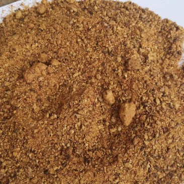 大量出售棉粕棉粕蛋白含量46%42%品质有保