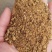 大量出售棉粕棉粕蛋白含量46%42%品质有保