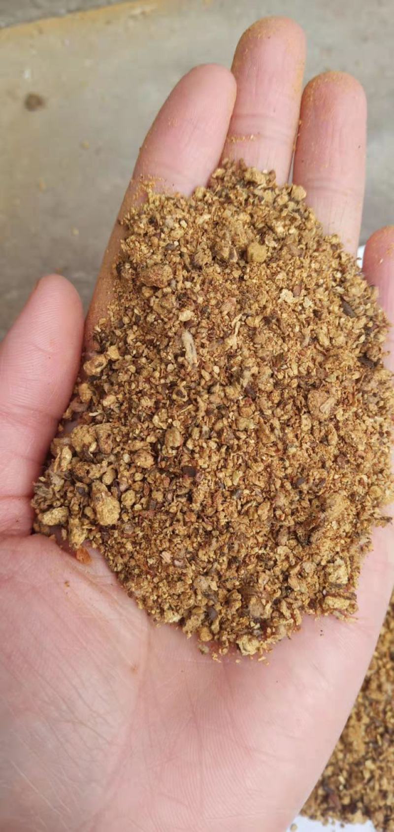 大量出售棉粕棉粕蛋白含量46%42%品质有保