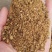 大量出售棉粕棉粕蛋白含量46%42%品质有保