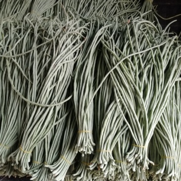 河南省内黄县王保昌瓜果蔬菜市场長豆角有货