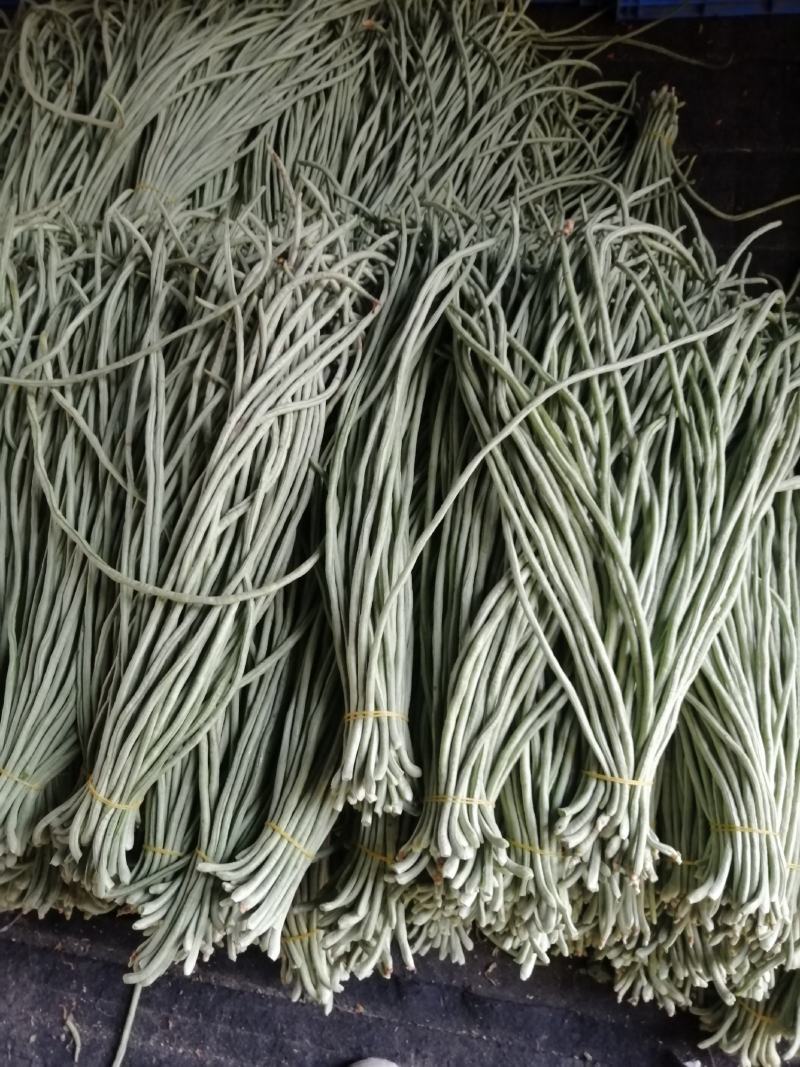 河南省内黄县王保昌瓜果蔬菜市场長豆角有货