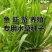小米草种子水草种子水产养殖鱼虾蟹可食用牧草