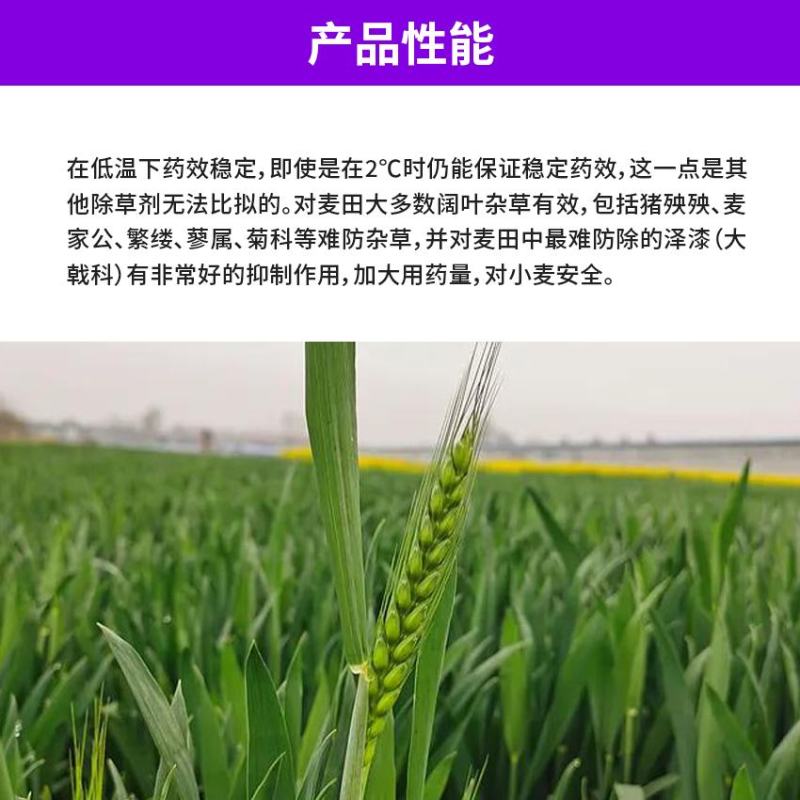 5%双氟磺草胺悬浮剂一年生阔叶杂草猪秧殃小麦除草剂