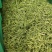 金银花头茬新货金银花山东河南金银花量大批发