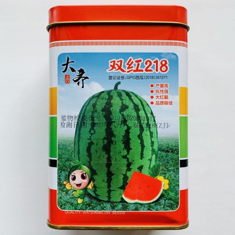 冰糖麒麟8424大棚露天高甜早中熟不裂易坐果