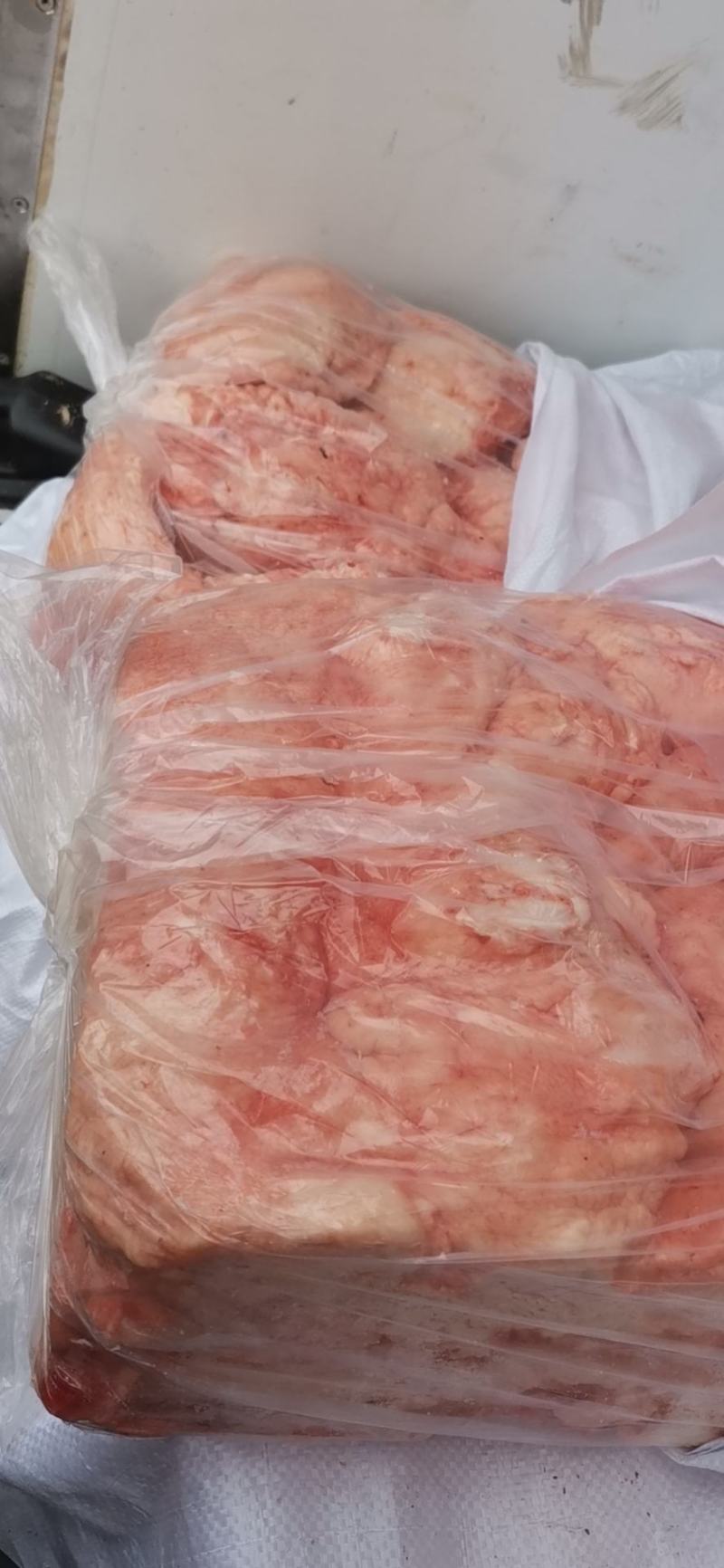 新鲜羊尾油长期供应货源充足支持看货可发样品