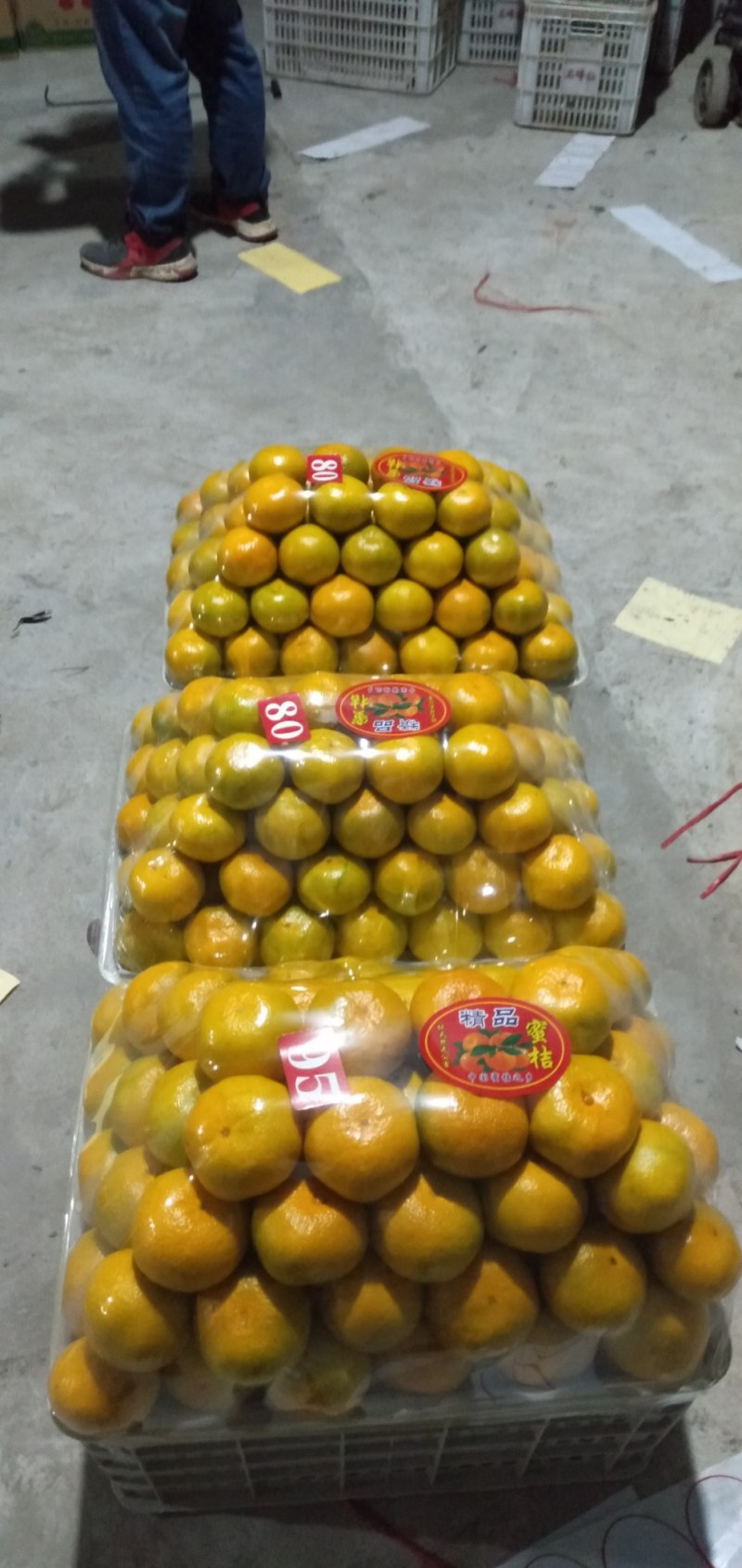 【优质】东江湖蜜橘65—75