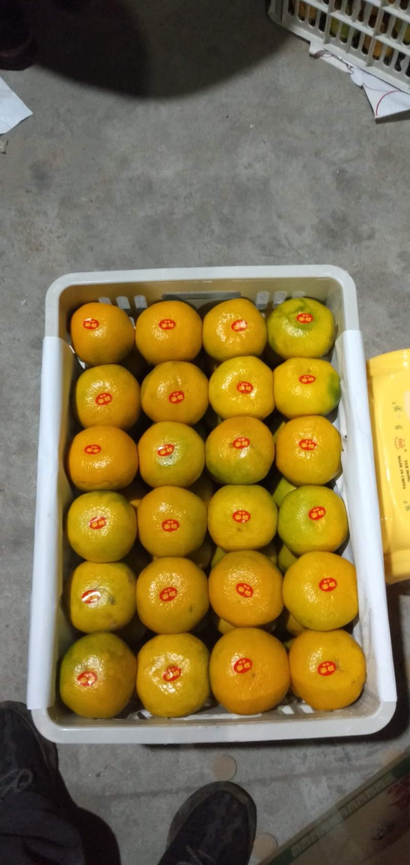 【优质】东江湖蜜橘65—75