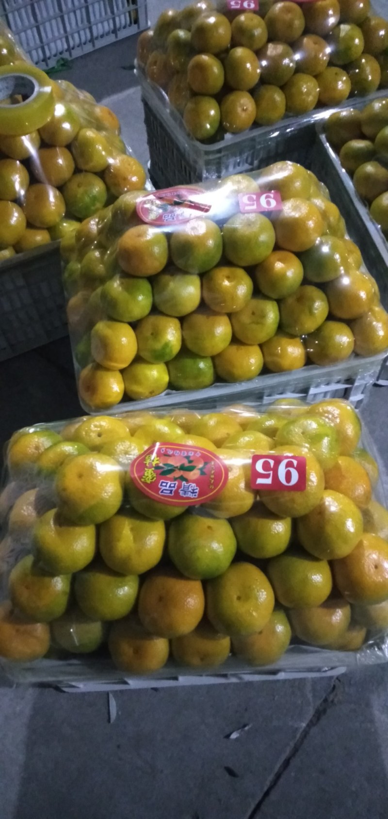 【优质】东江湖蜜橘65—75