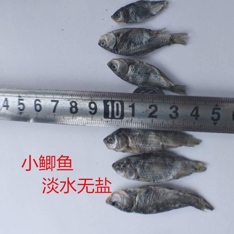 猫粮小鱼干