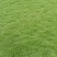 马拉泥草皮