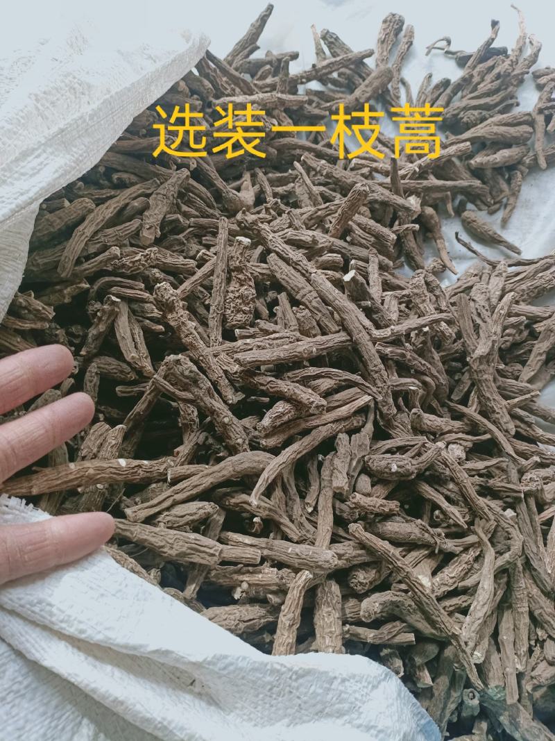 一支蒿，正品一枝蒿根中药材常年不断货，量大从优！