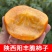 陕西阳丰脆柿巧克力柿可直接吃脆甜一件代发
