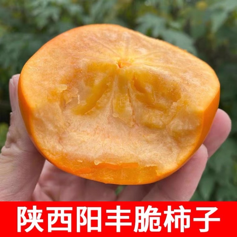 陕西阳丰脆柿巧克力柿可直接吃脆甜一件代发