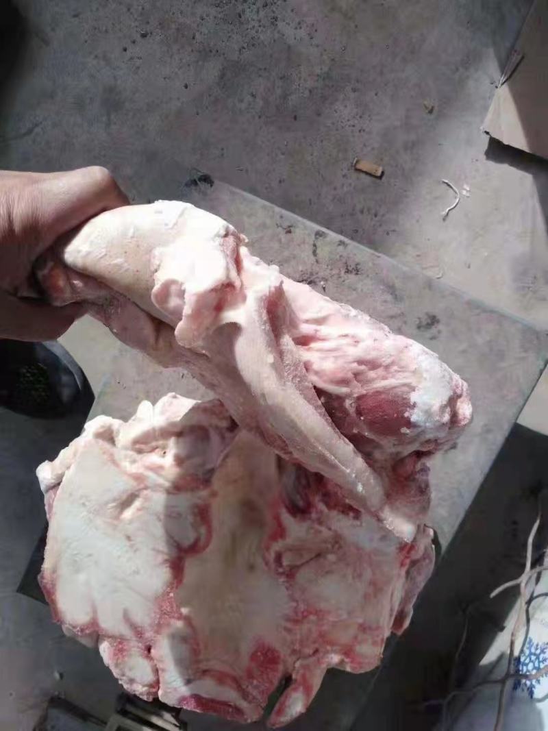 肥猪猪头，新货，手续齐全，品质保证，货源稳定