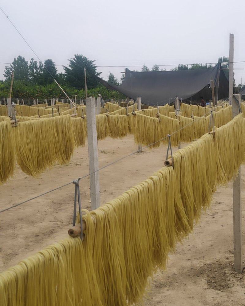 酸辣粉细粉火锅宽粉保质保量价格便宜可视频看货