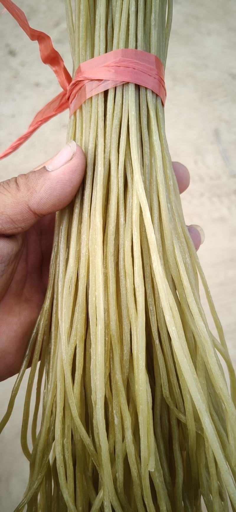 酸辣粉细粉火锅宽粉保质保量价格便宜可视频看货