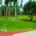 紫羊茅草种冷季型草坪种子庭院草坪道路护坡固堤保土量大优惠