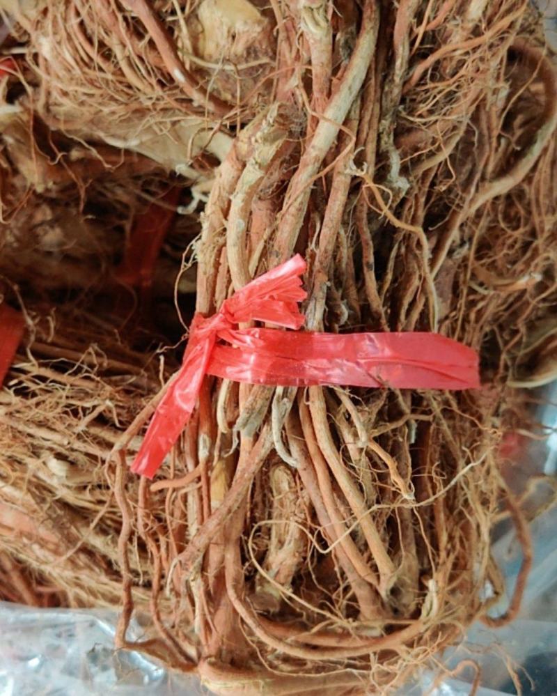 河源五指毛桃，货香，干度好！请直接电话联系