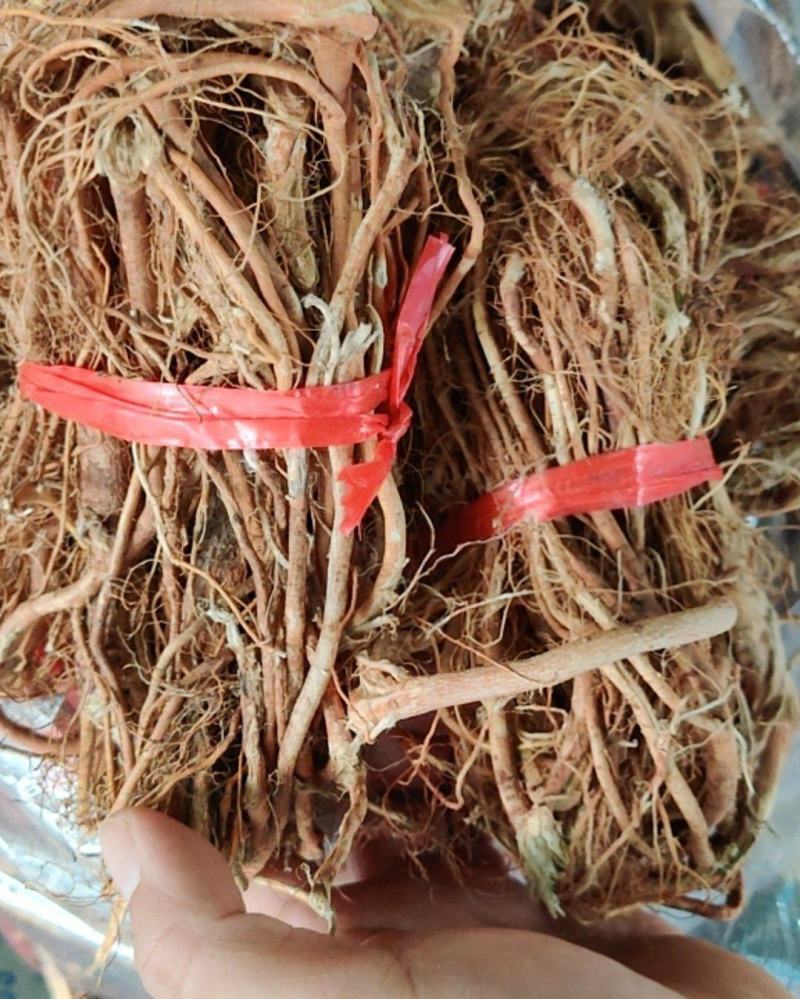 河源五指毛桃，货香，干度好！请直接电话联系