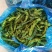 小皱皮