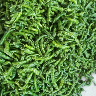 小皱皮
