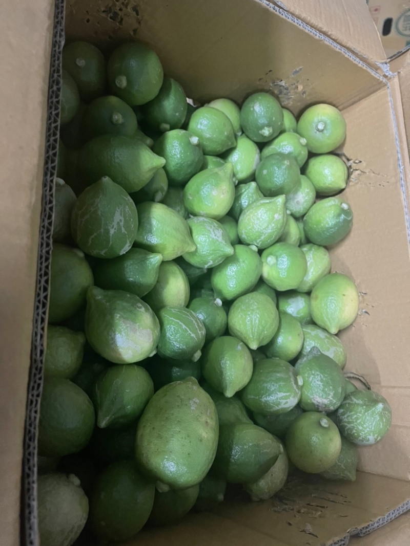 无籽新鲜广东香水柠檬二级果