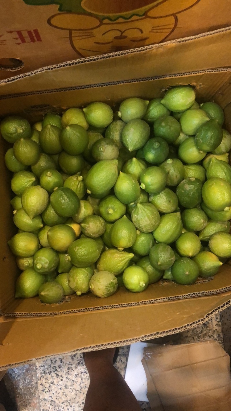 无籽新鲜广东香水柠檬二级果