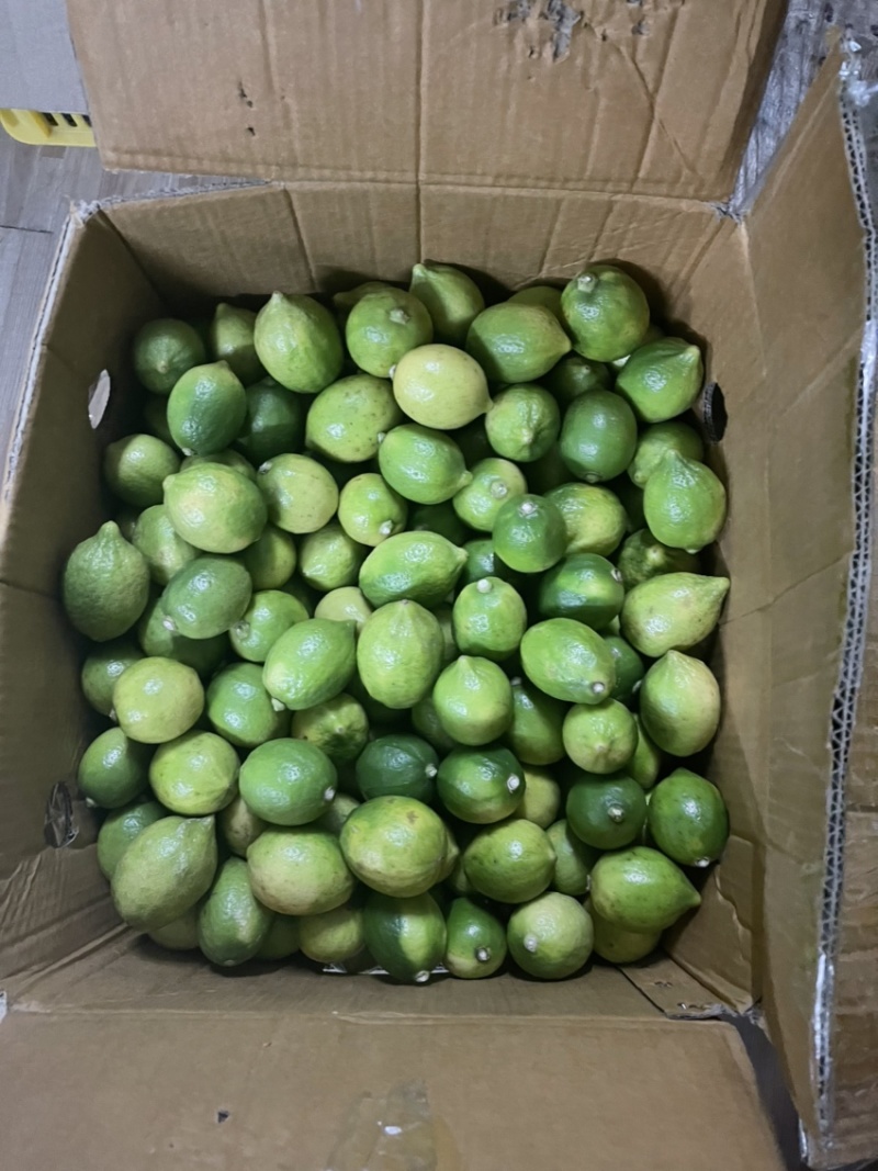 无籽新鲜广东香水柠檬二级果