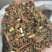 薄荷薄合全草无土吸尘干净各种中草药