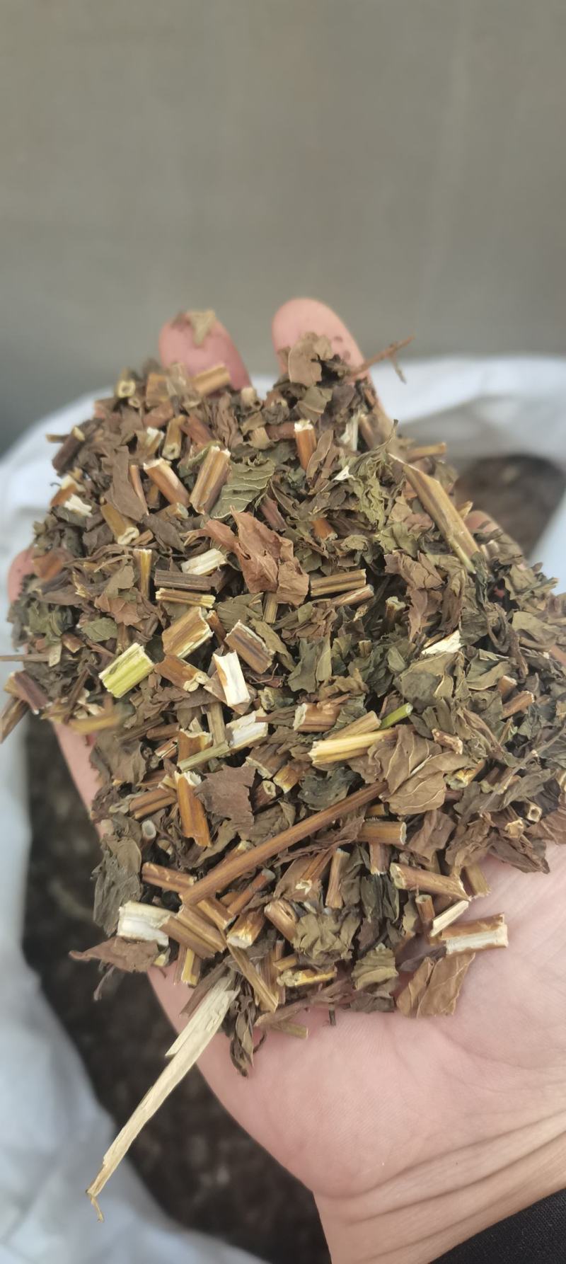 薄荷薄合全草无土吸尘干净各种中草药